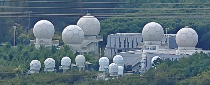 2026.3.12植樹節(jié)4 2026.3.12植樹節(jié)4